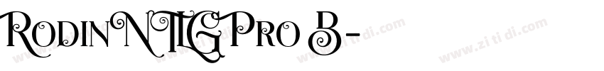 RodinNTLG Pro B字体转换
